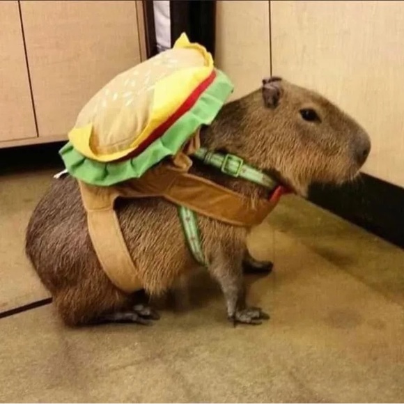 cheeseburgirl